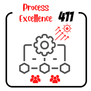 Process Excellence 411